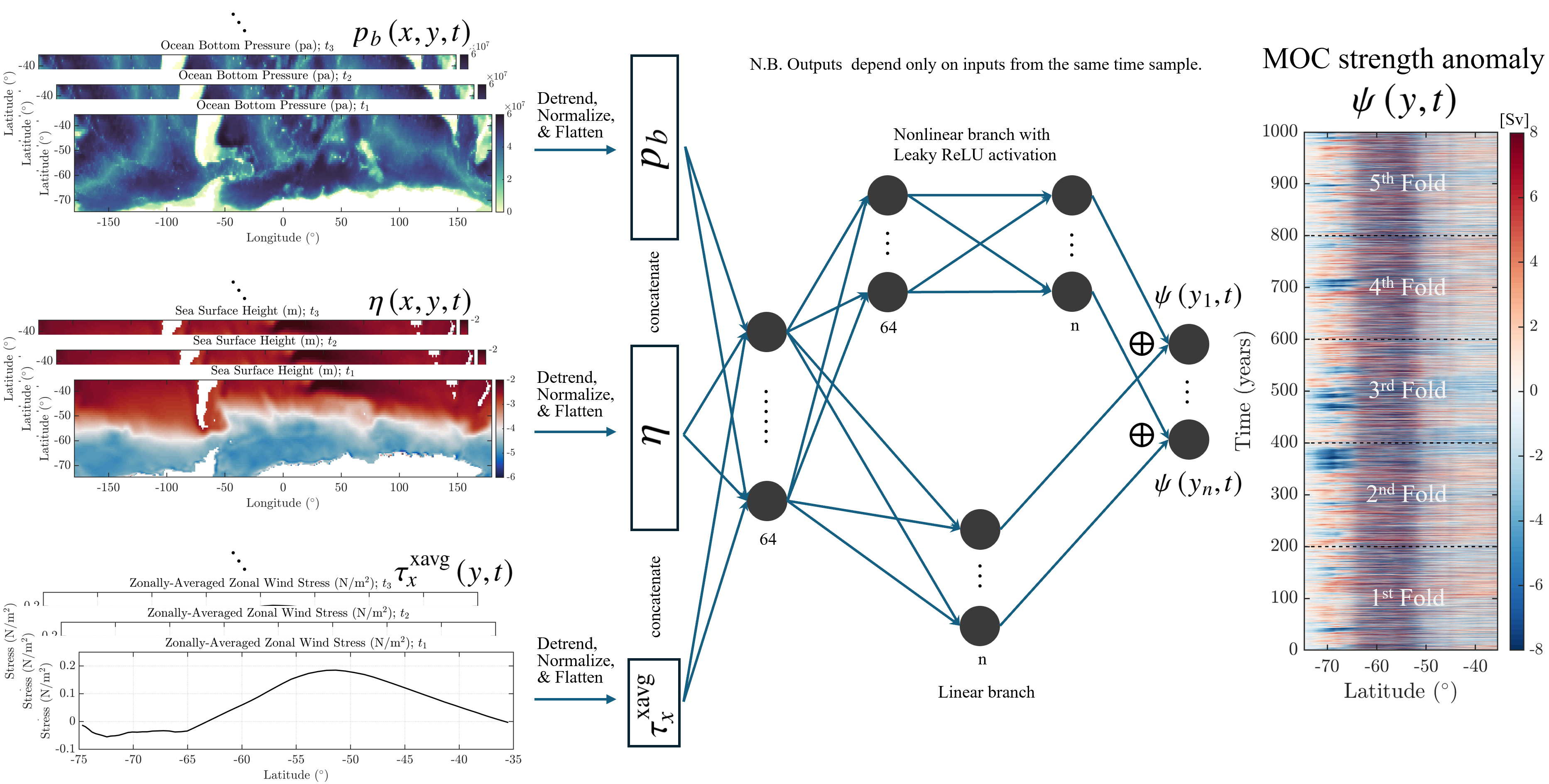 Dual‐branch neural network architecture for MOC reconstruction